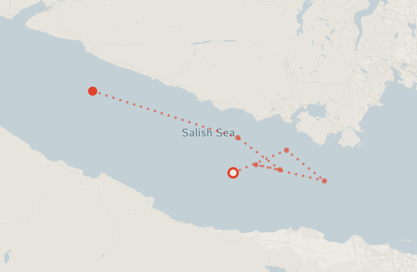 Activity map — real sighting points on an OpenStreetMap basemap
