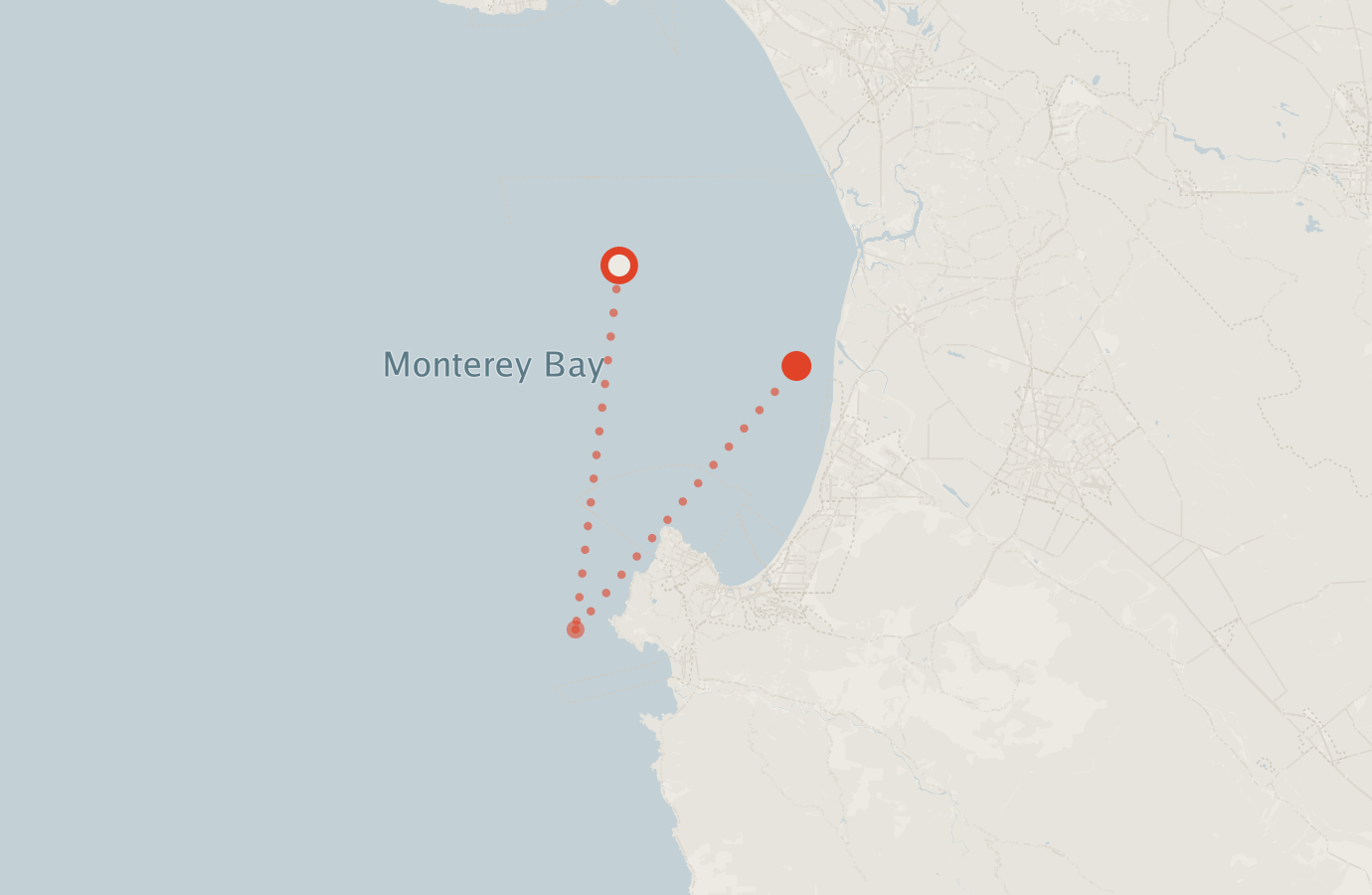 Activity map — real sighting points on an OpenStreetMap basemap