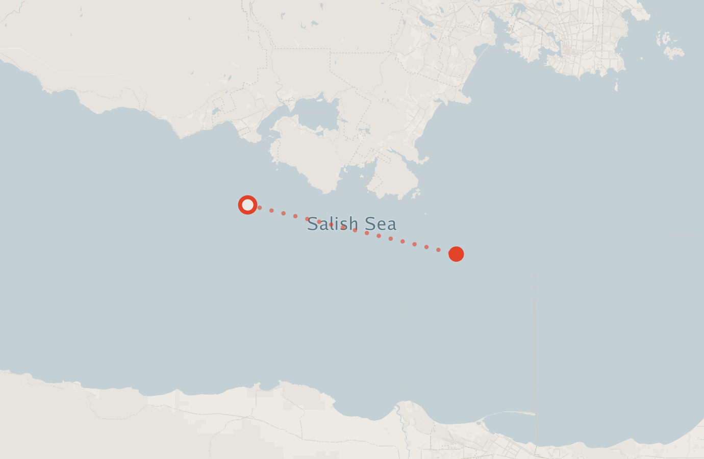Activity map — real sighting points on an OpenStreetMap basemap