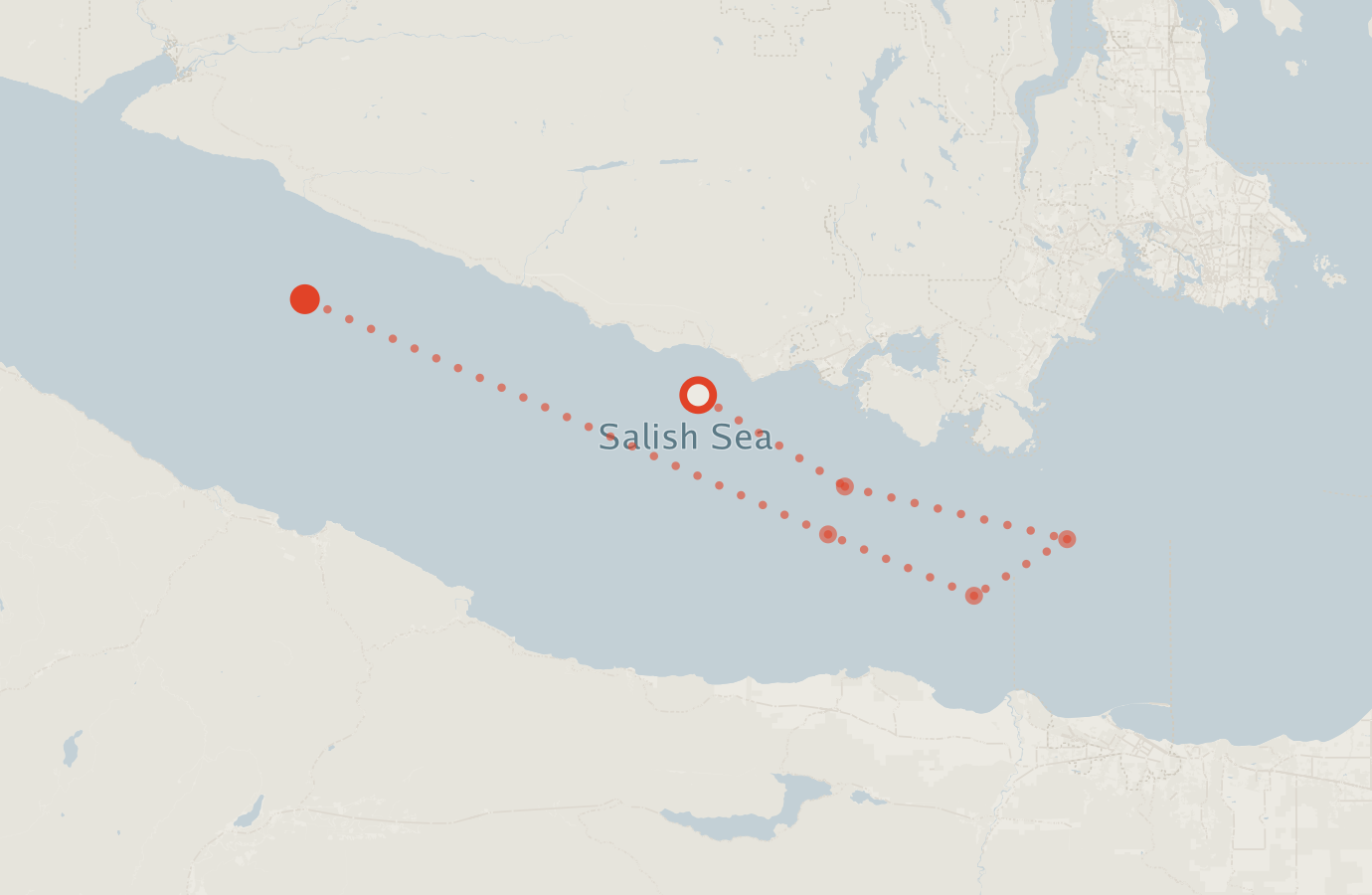 Activity map — real sighting points on an OpenStreetMap basemap