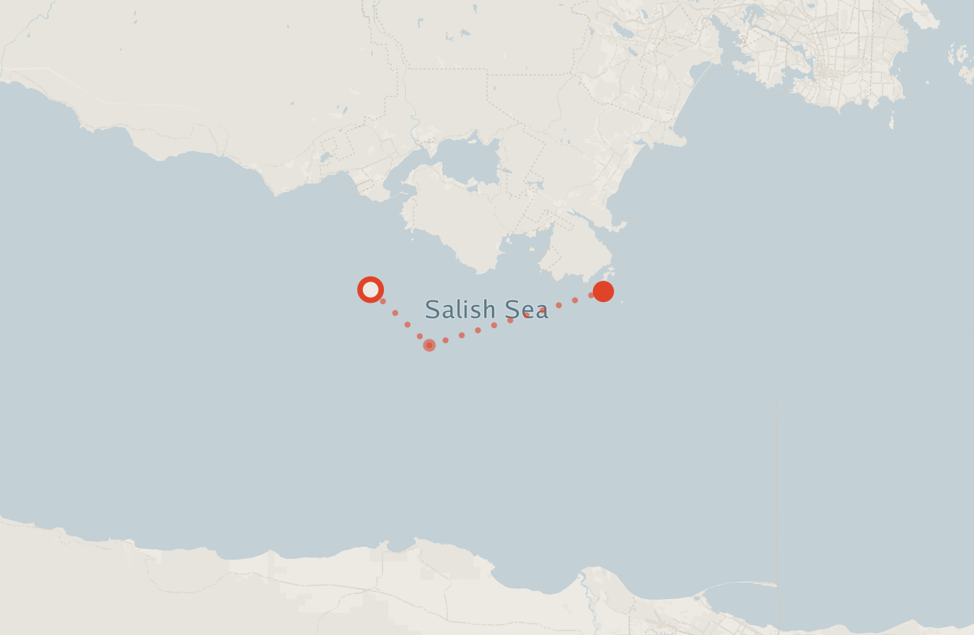 Activity map — real sighting points on an OpenStreetMap basemap