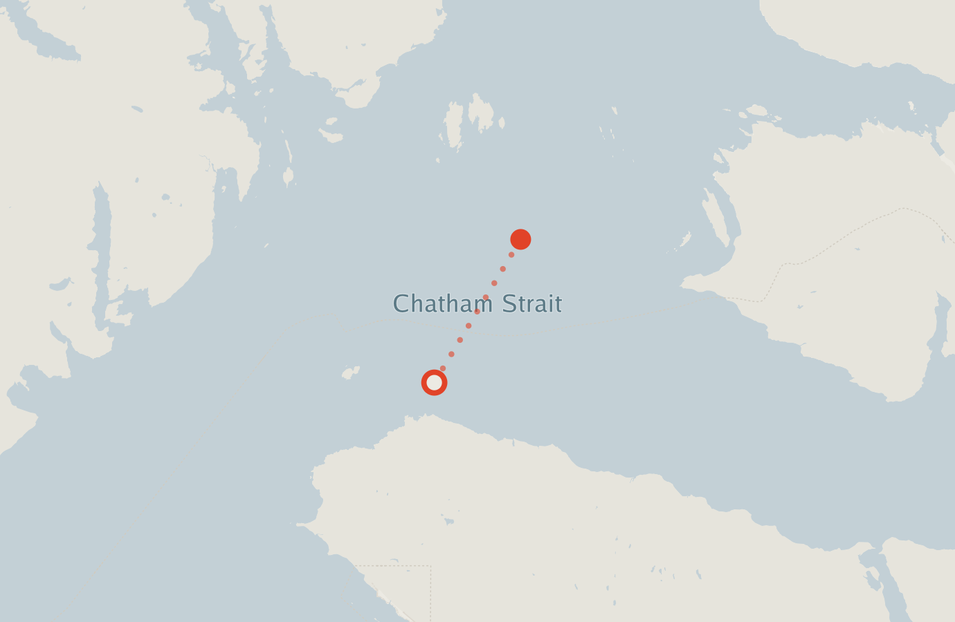 Activity map — real sighting points on an OpenStreetMap basemap