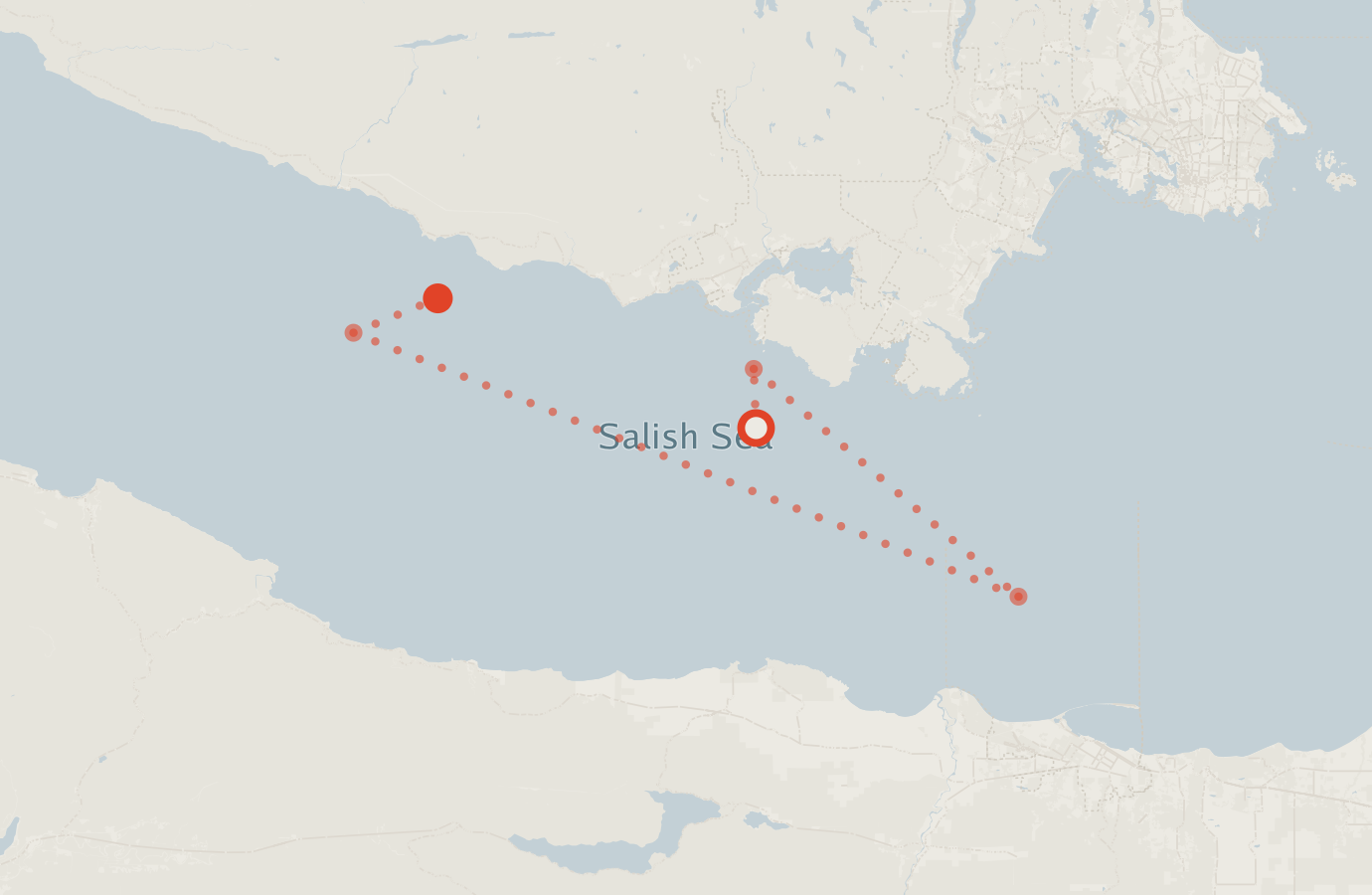 Activity map — real sighting points on an OpenStreetMap basemap