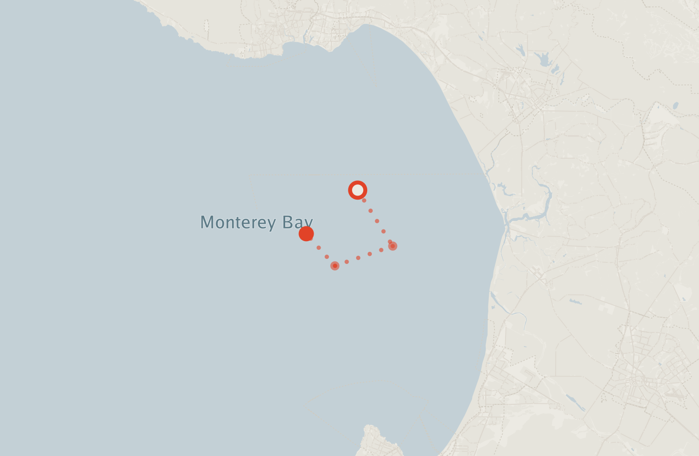 Activity map — real sighting points on an OpenStreetMap basemap