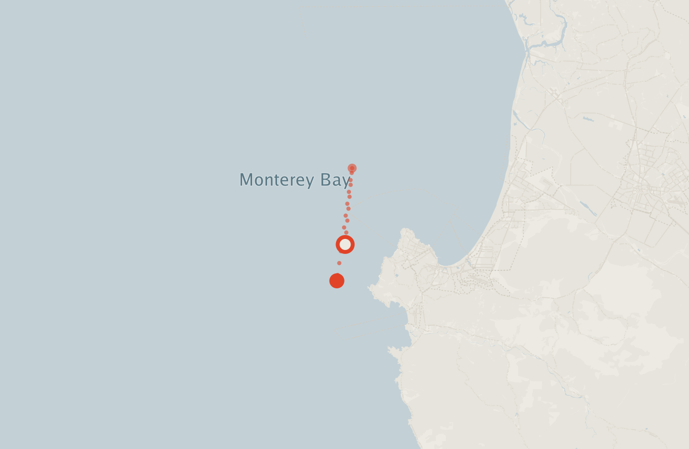 Activity map — real sighting points on an OpenStreetMap basemap