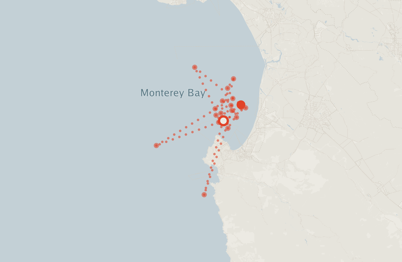Activity map — real sighting points on an OpenStreetMap basemap