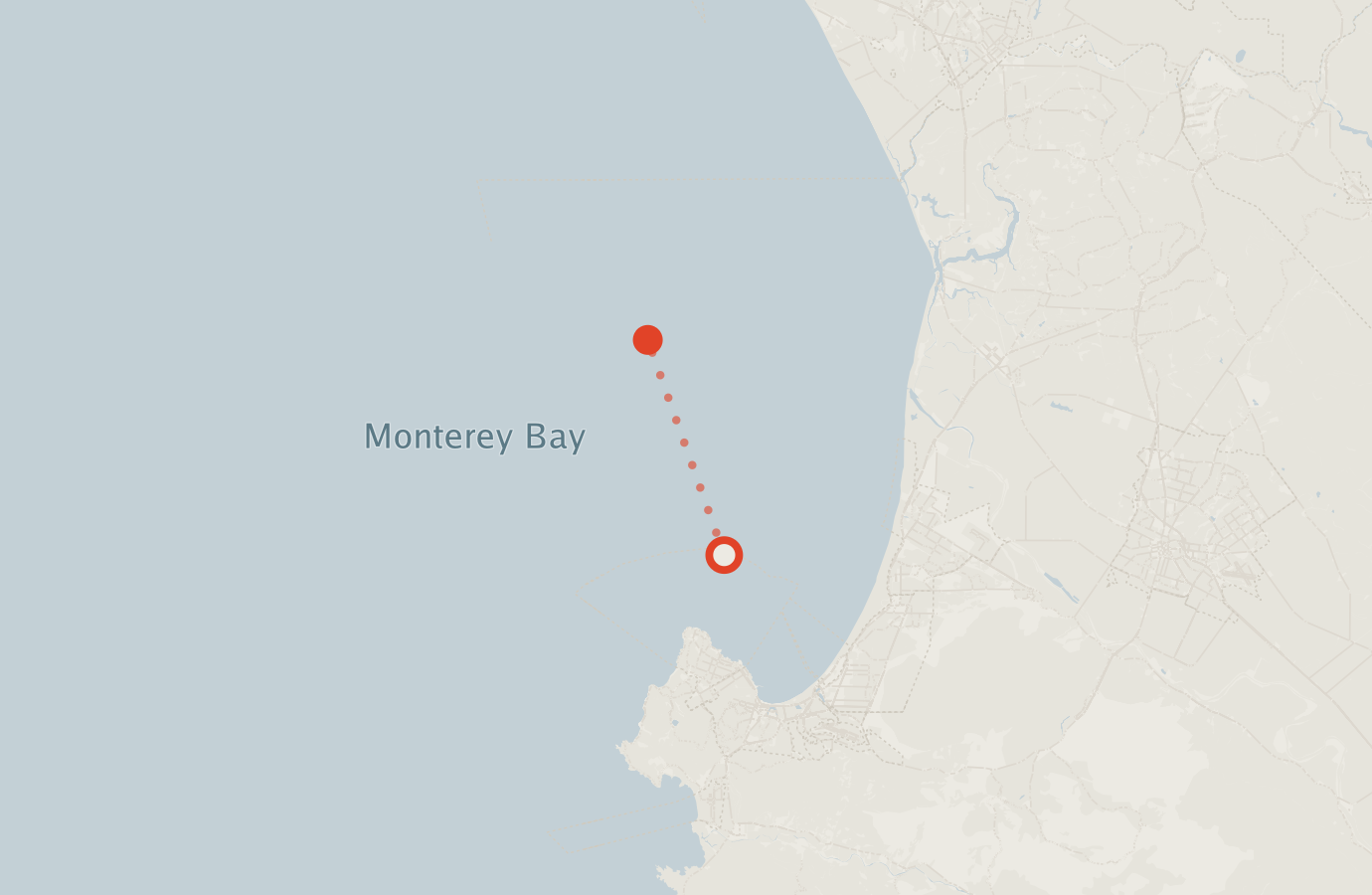 Activity map — real sighting points on an OpenStreetMap basemap