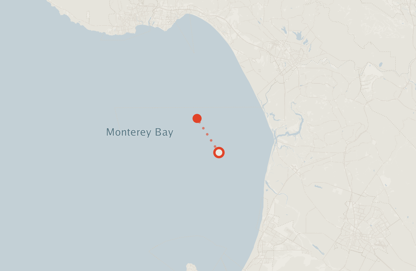 Activity map — real sighting points on an OpenStreetMap basemap