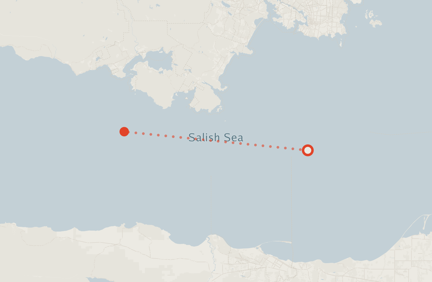 Activity map — real sighting points on an OpenStreetMap basemap