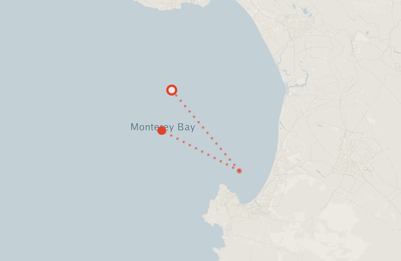 Activity map — real sighting points on an OpenStreetMap basemap