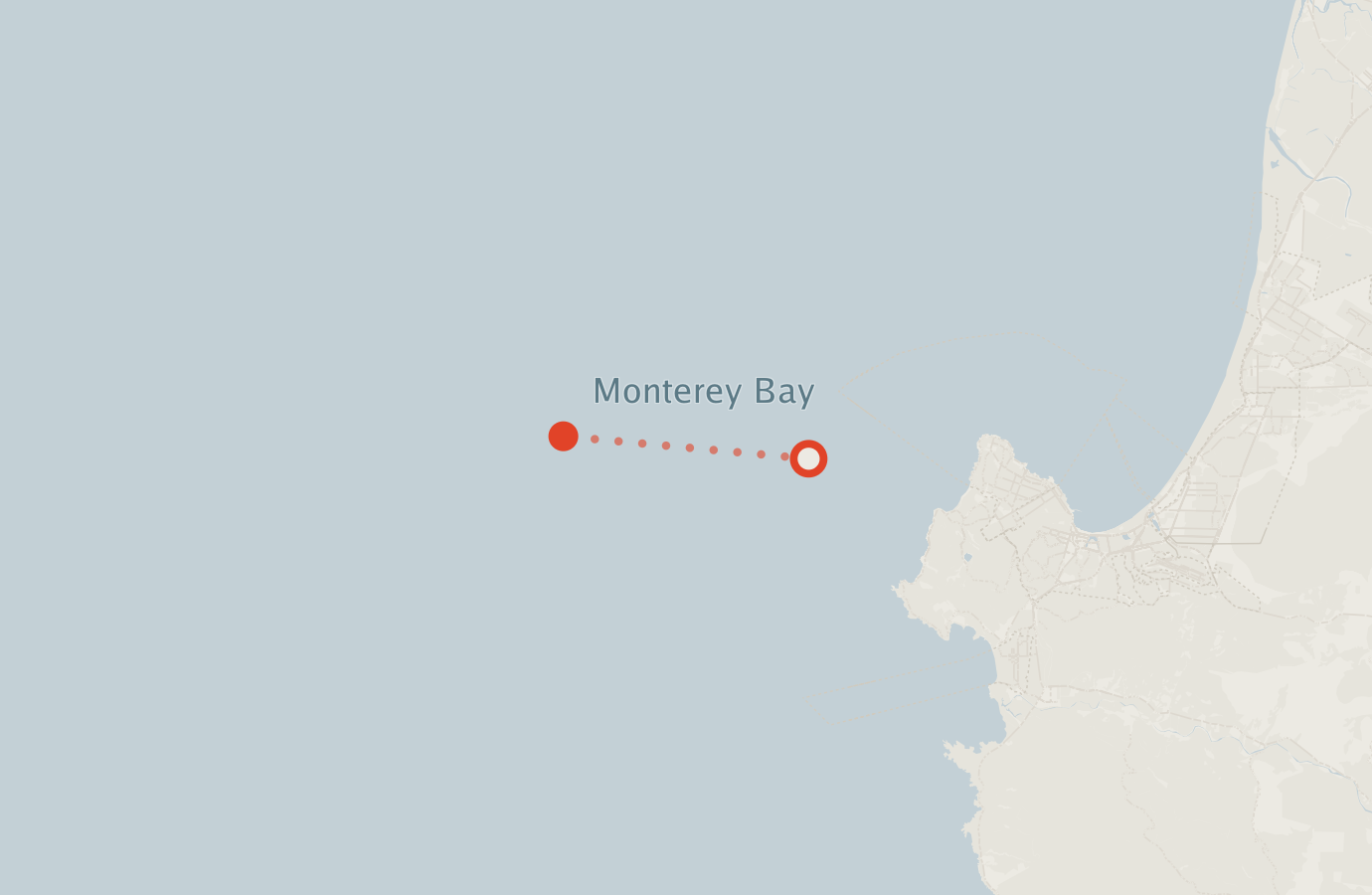 Activity map — real sighting points on an OpenStreetMap basemap