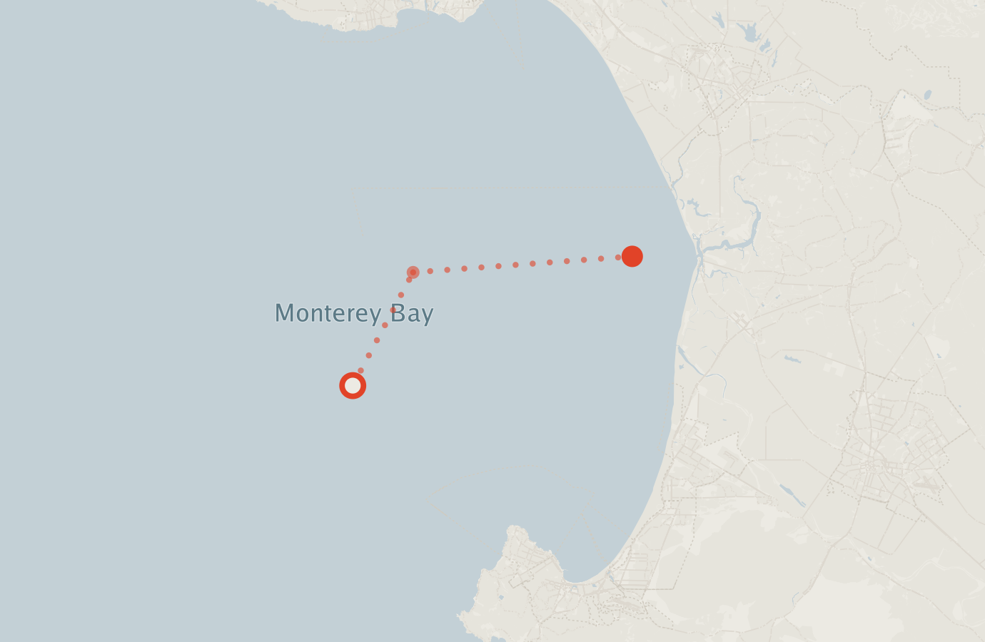 Activity map — real sighting points on an OpenStreetMap basemap