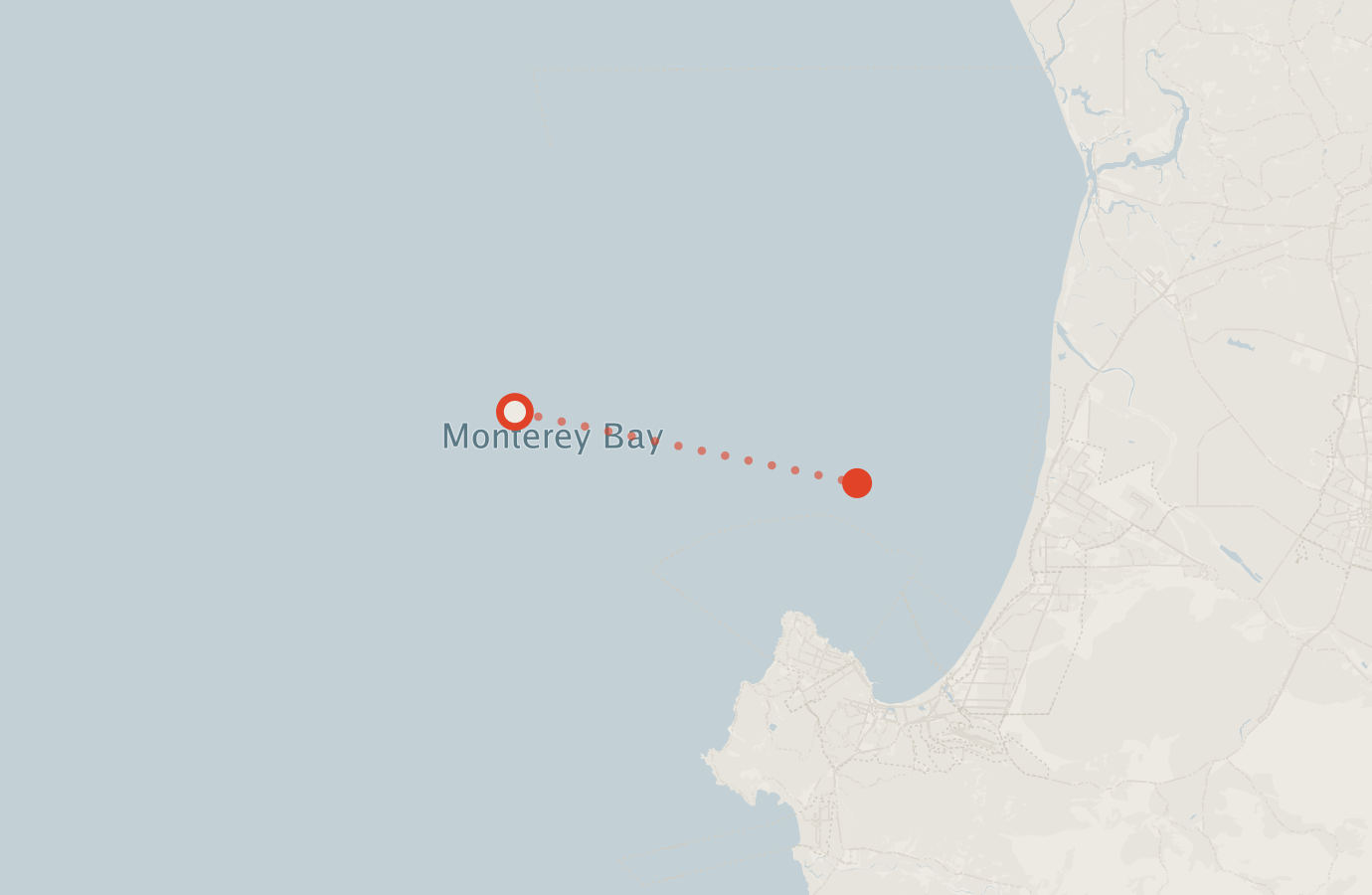 Activity map — real sighting points on an OpenStreetMap basemap