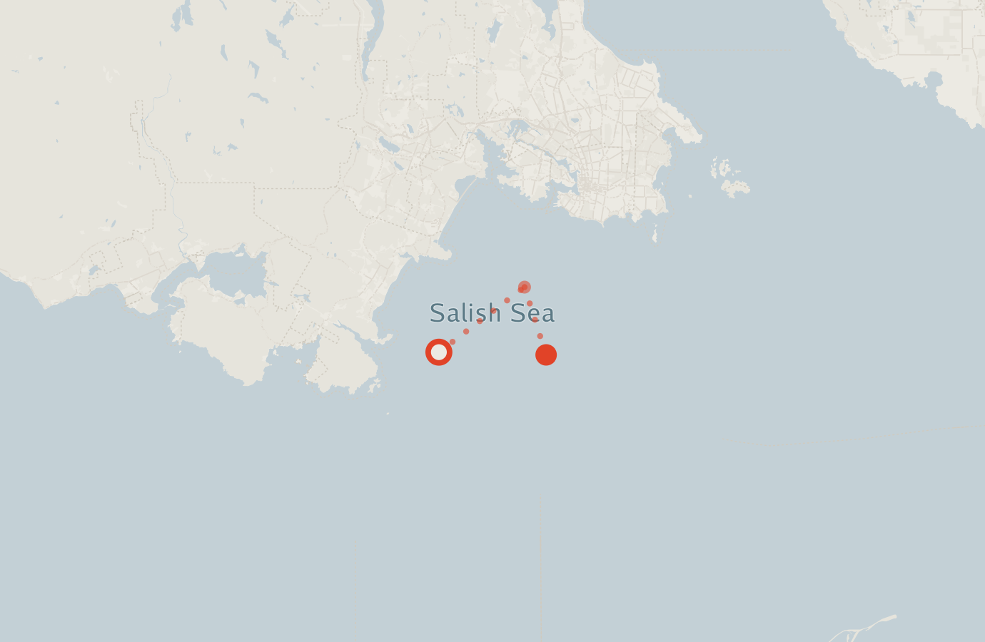Activity map — real sighting points on an OpenStreetMap basemap