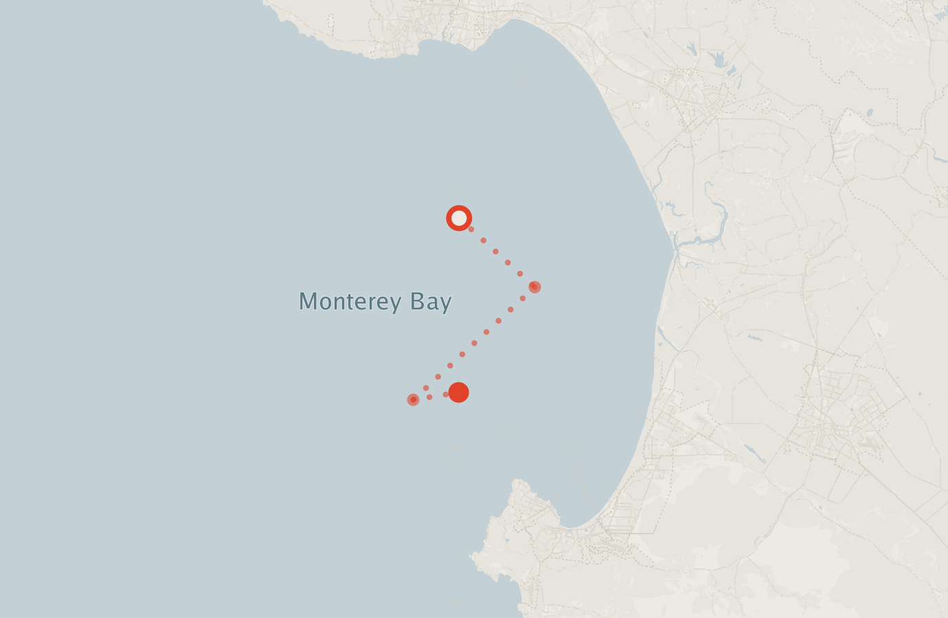 Activity map — real sighting points on an OpenStreetMap basemap