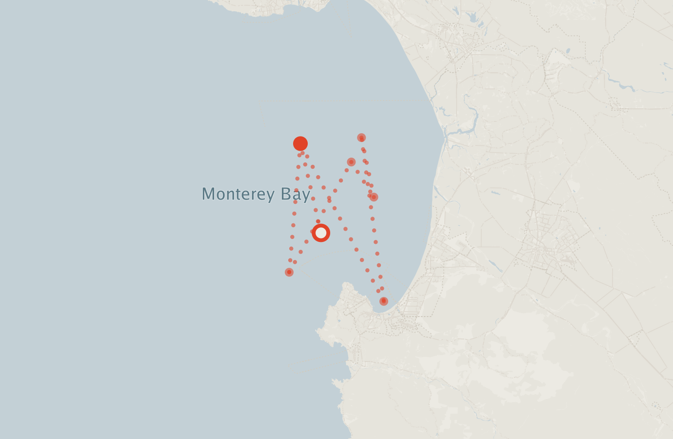 Activity map — real sighting points on an OpenStreetMap basemap