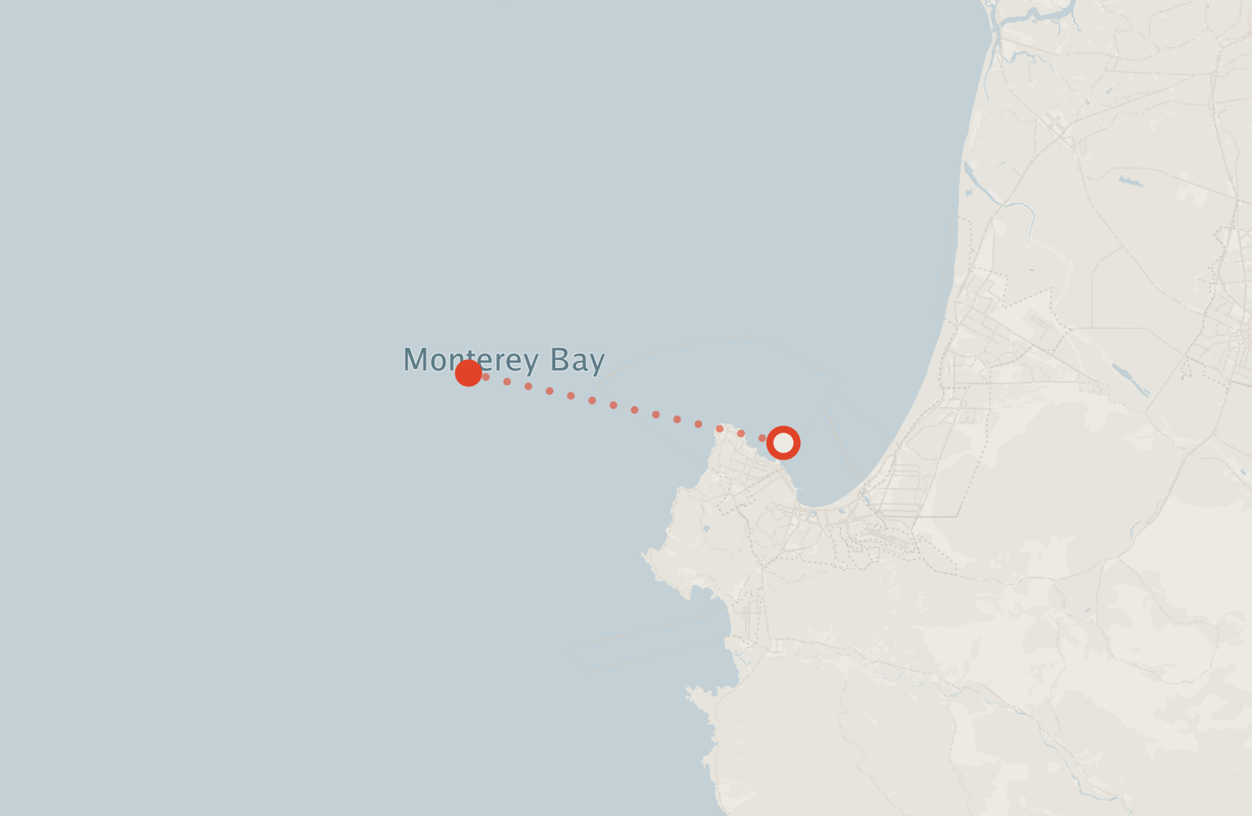 Activity map — real sighting points on an OpenStreetMap basemap