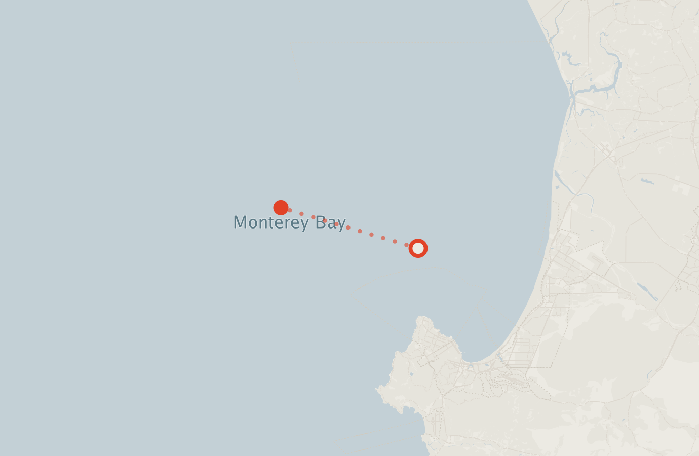 Activity map — real sighting points on an OpenStreetMap basemap