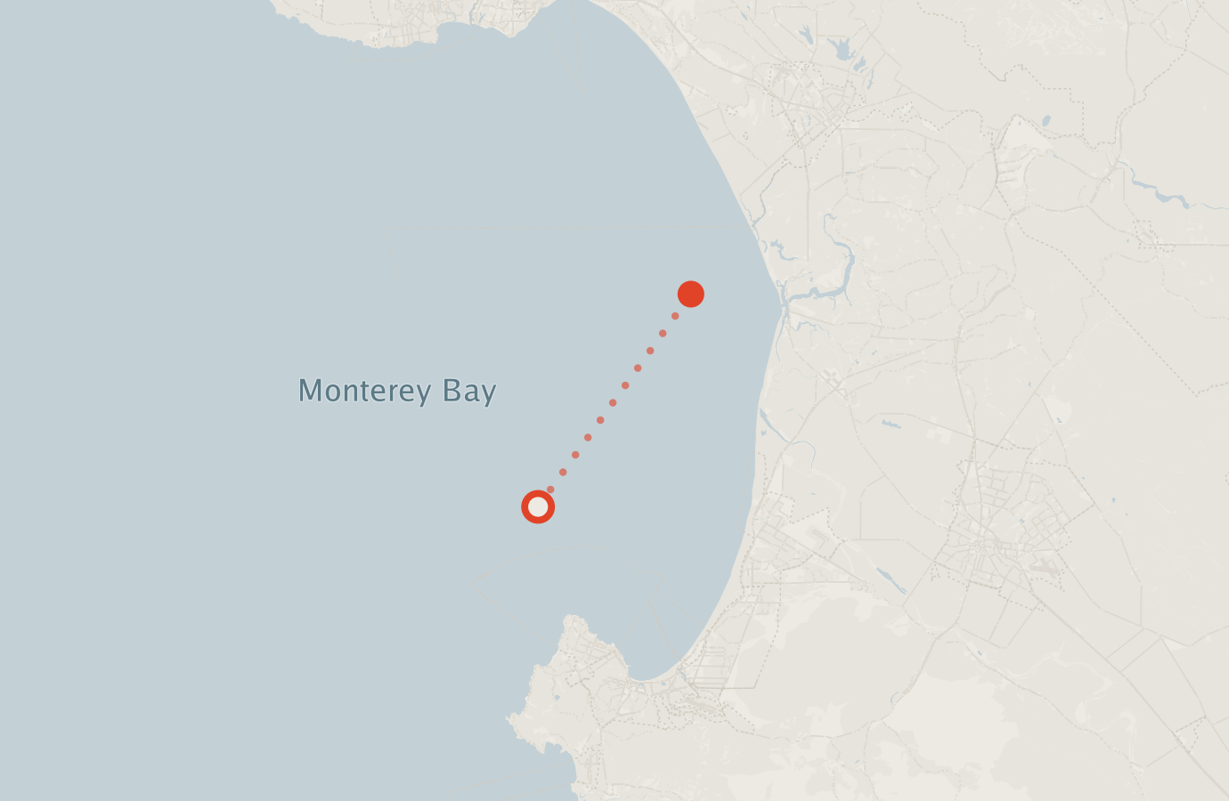 Activity map — real sighting points on an OpenStreetMap basemap
