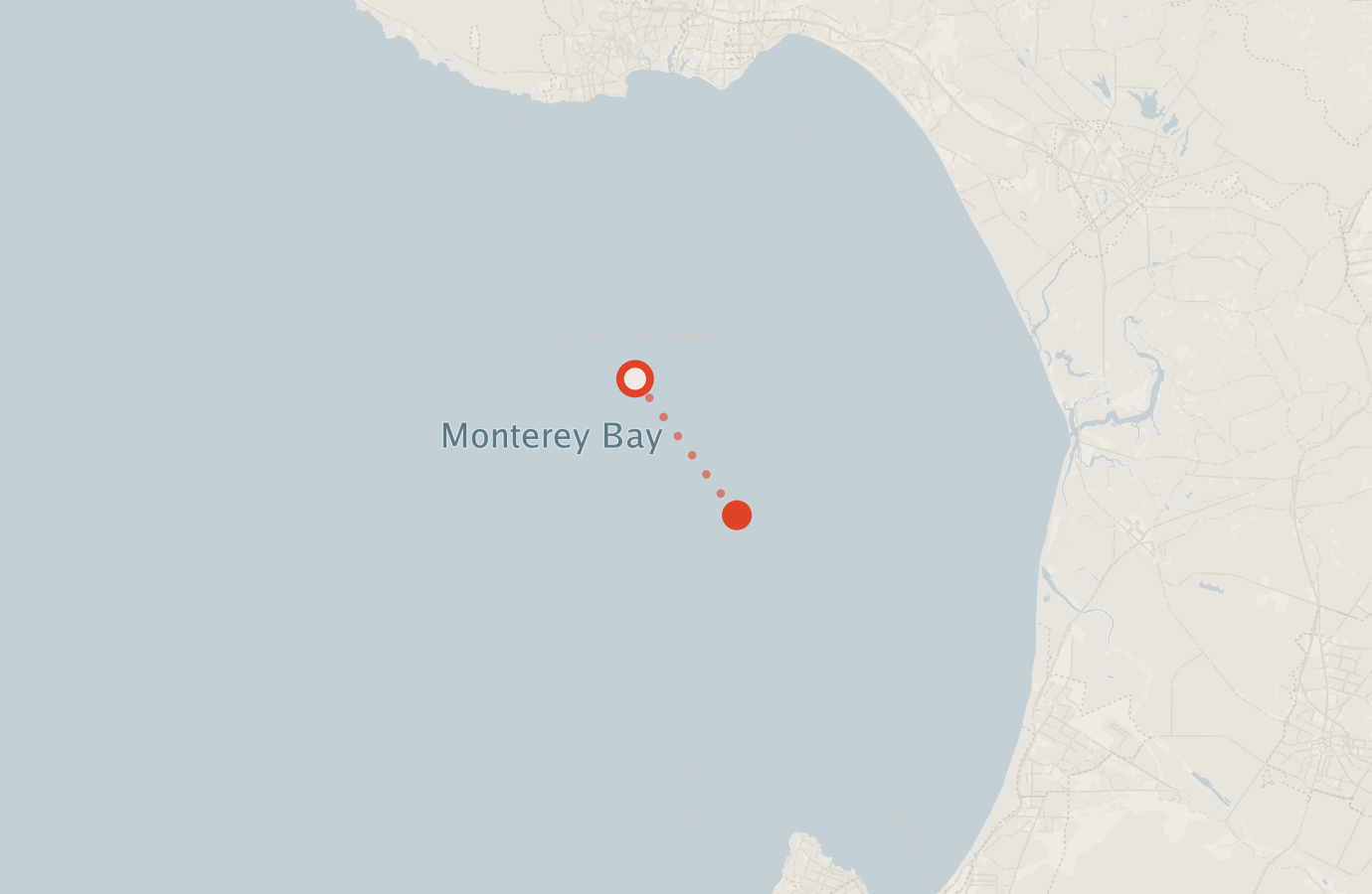 Activity map — real sighting points on an OpenStreetMap basemap