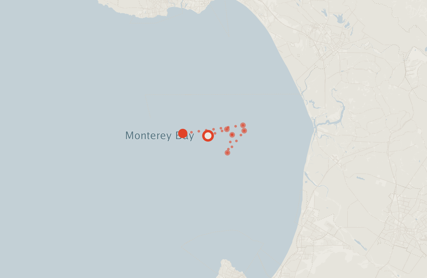 Activity map — real sighting points on an OpenStreetMap basemap