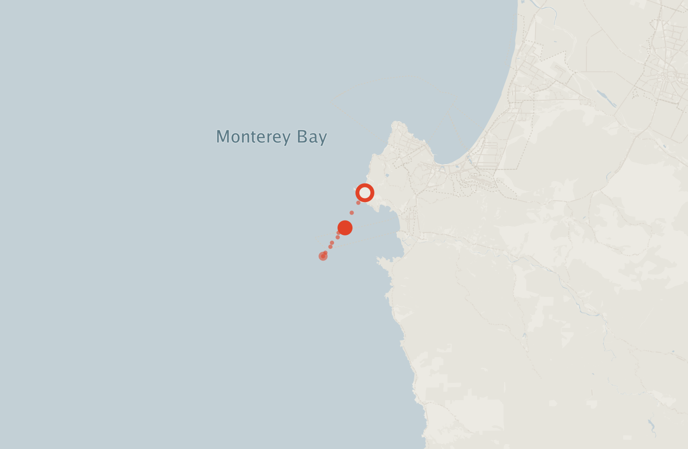 Activity map — real sighting points on an OpenStreetMap basemap