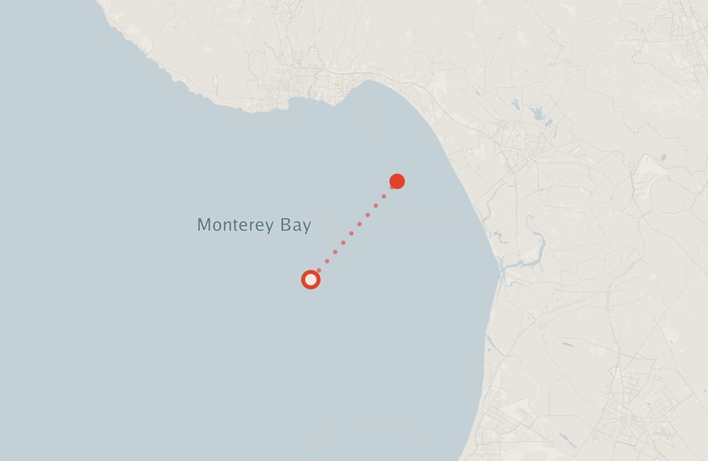 Activity map — real sighting points on an OpenStreetMap basemap