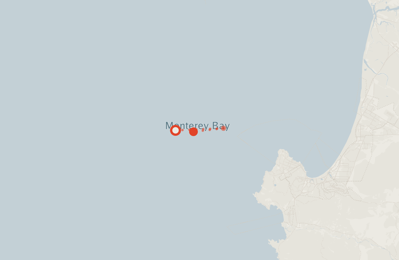 Activity map — real sighting points on an OpenStreetMap basemap