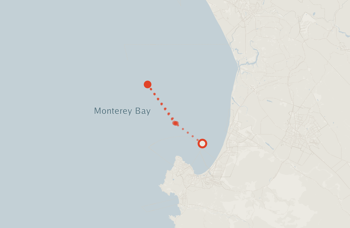 Activity map — real sighting points on an OpenStreetMap basemap