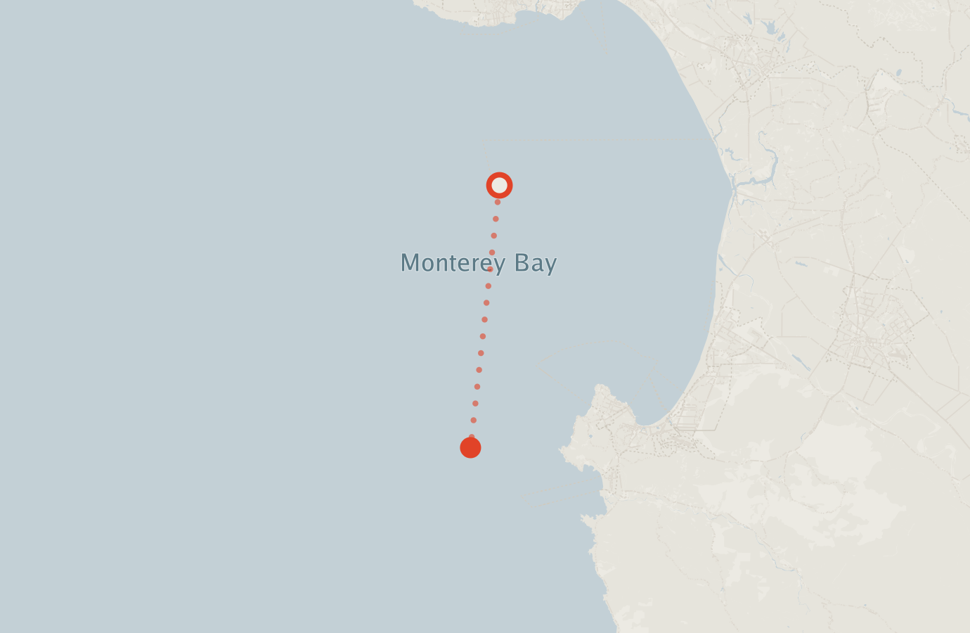 Activity map — real sighting points on an OpenStreetMap basemap
