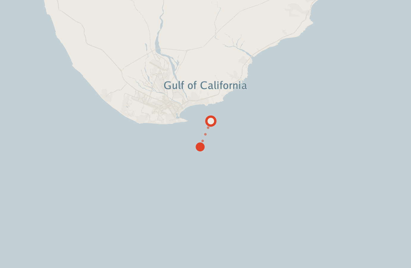 Activity map — real sighting points on an OpenStreetMap basemap