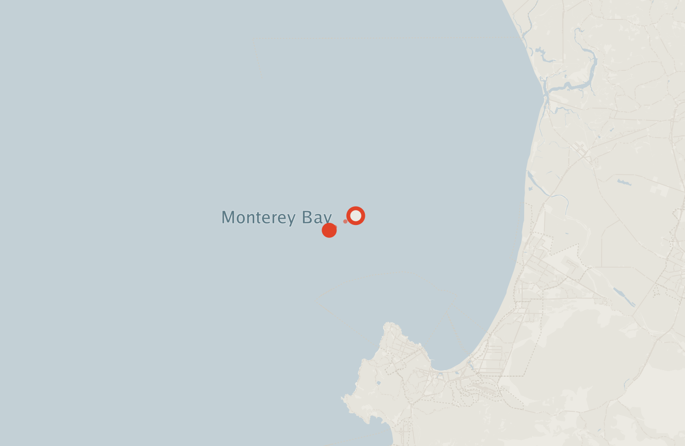 Activity map — real sighting points on an OpenStreetMap basemap