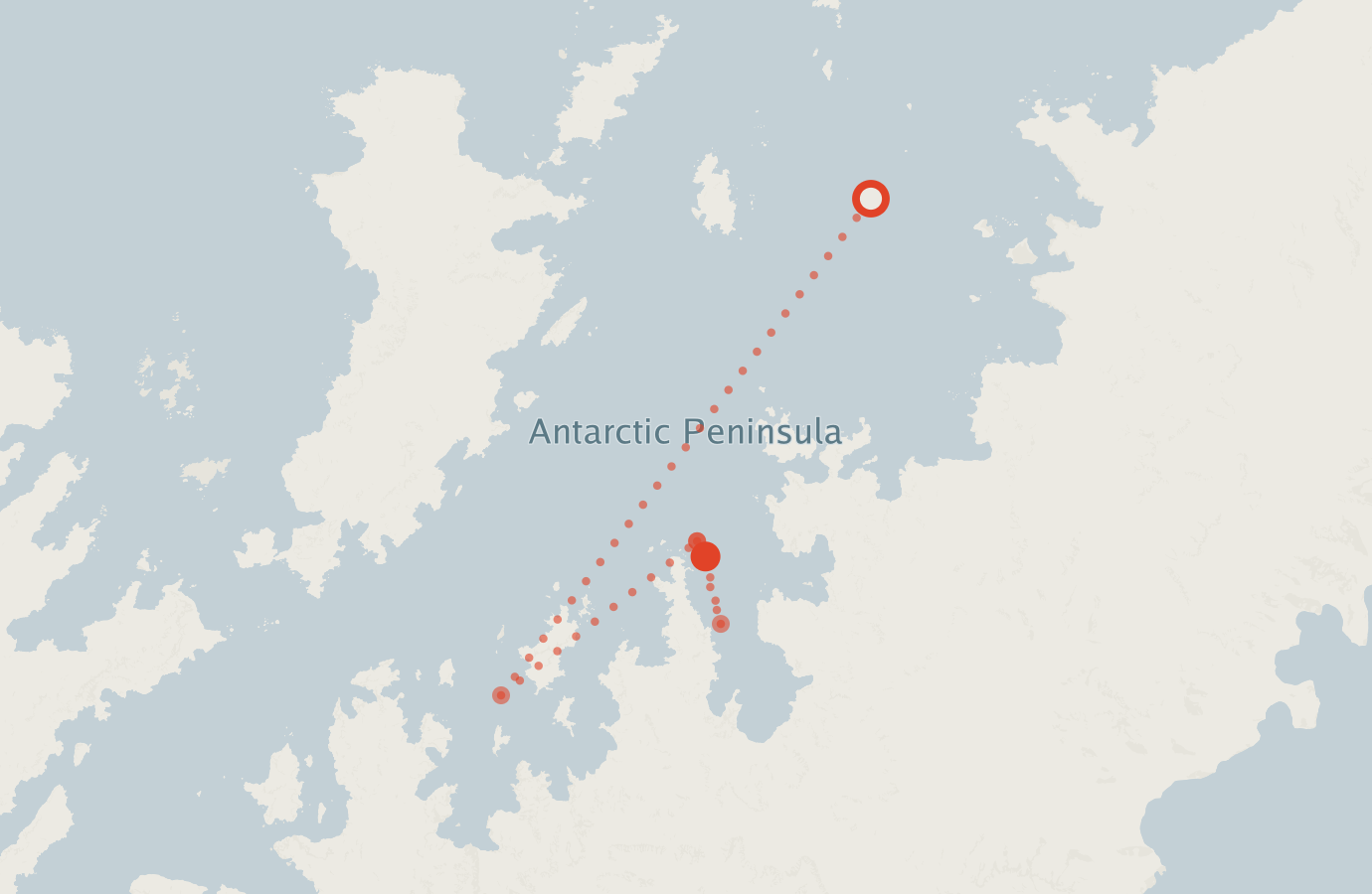 Activity map — real sighting points on an OpenStreetMap basemap