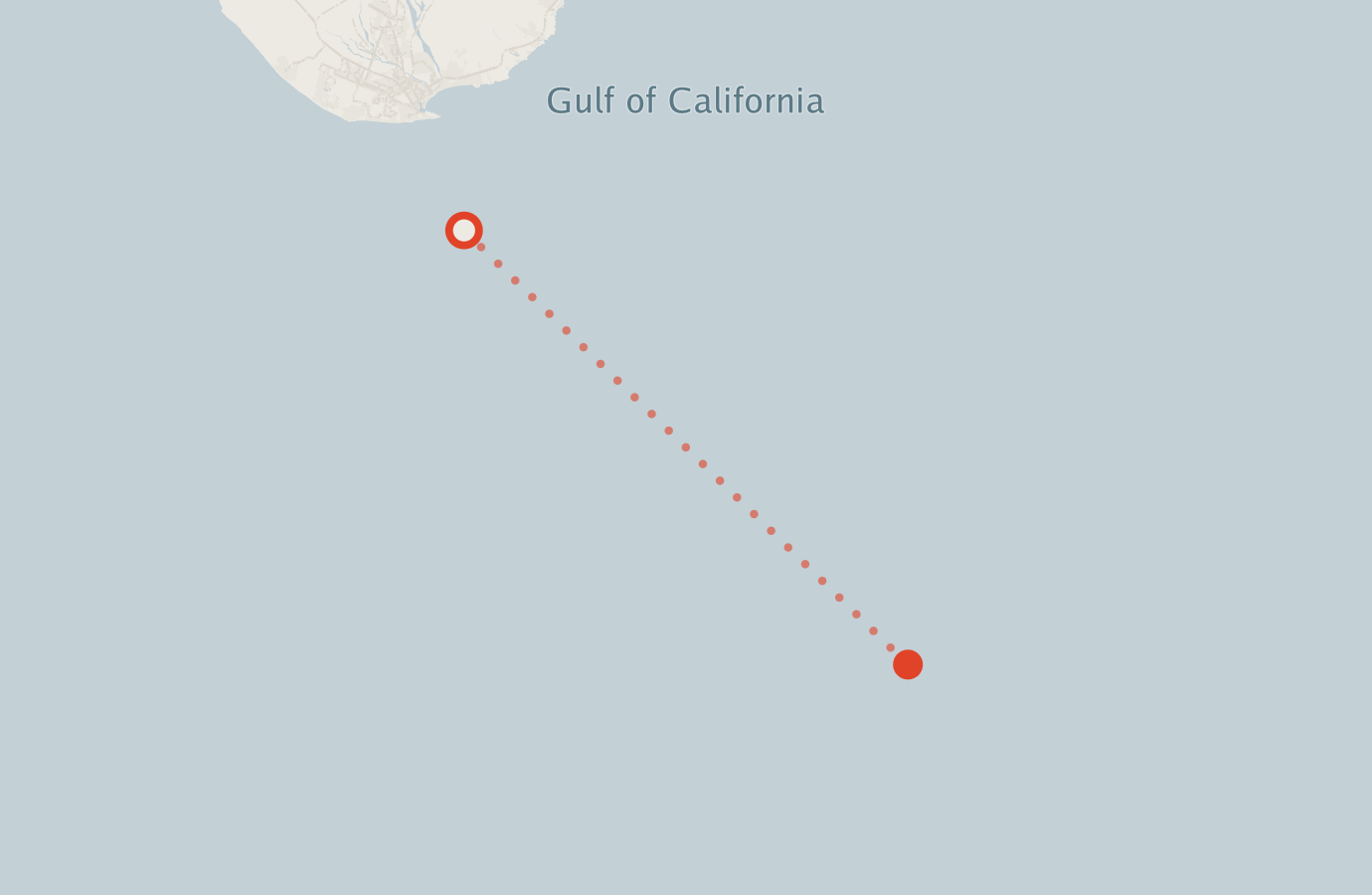 Activity map — real sighting points on an OpenStreetMap basemap
