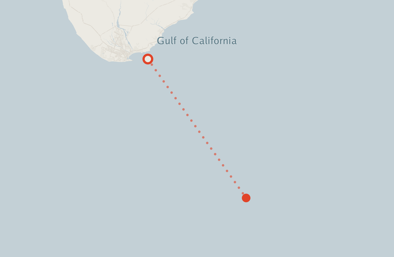 Activity map — real sighting points on an OpenStreetMap basemap