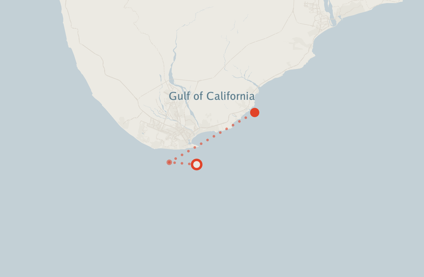 Activity map — real sighting points on an OpenStreetMap basemap