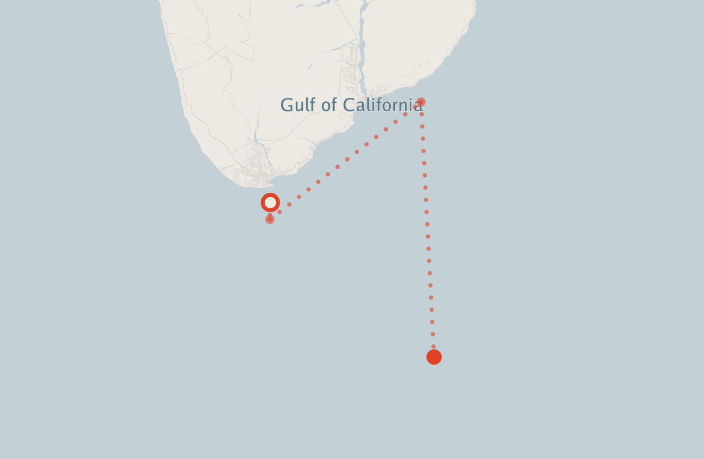 Activity map — real sighting points on an OpenStreetMap basemap