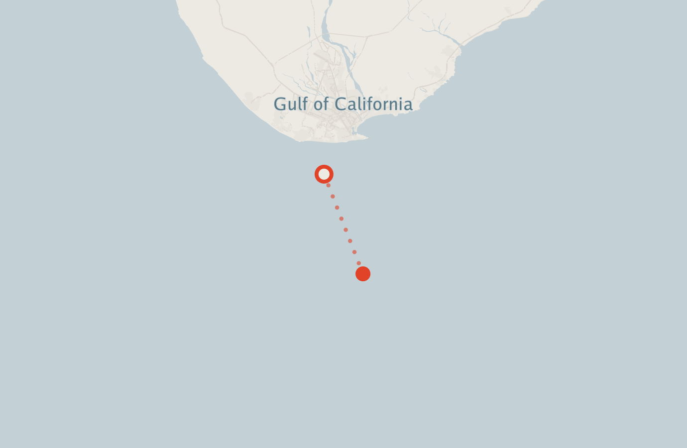 Activity map — real sighting points on an OpenStreetMap basemap