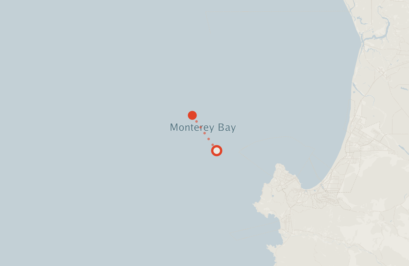 Activity map — real sighting points on an OpenStreetMap basemap