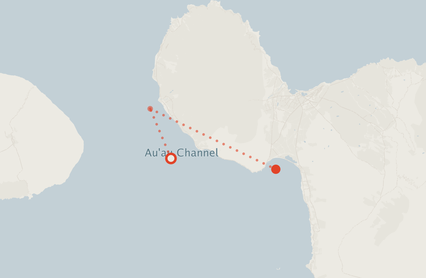 Activity map — real sighting points on an OpenStreetMap basemap