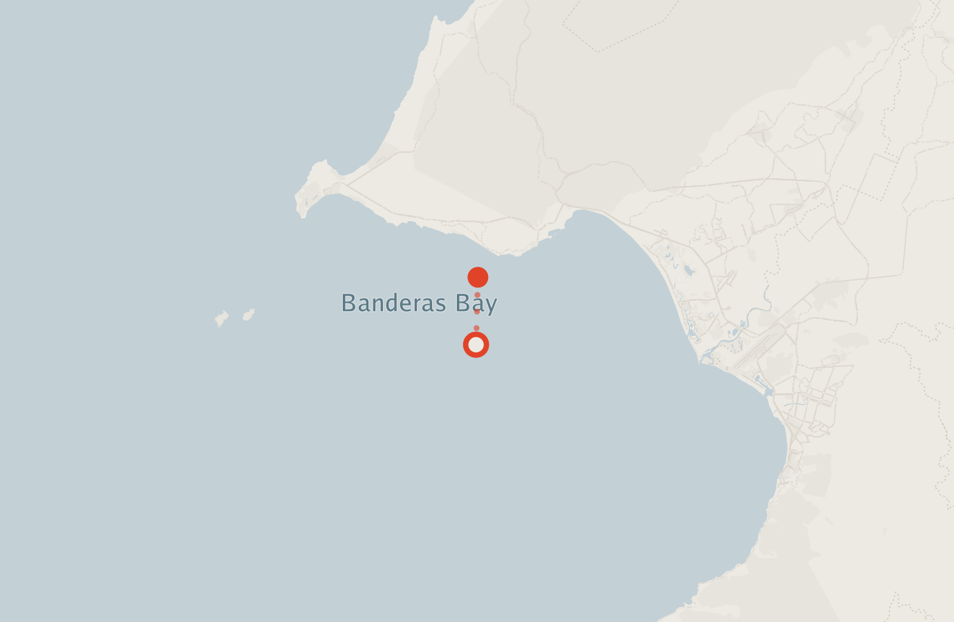 Activity map — real sighting points on an OpenStreetMap basemap