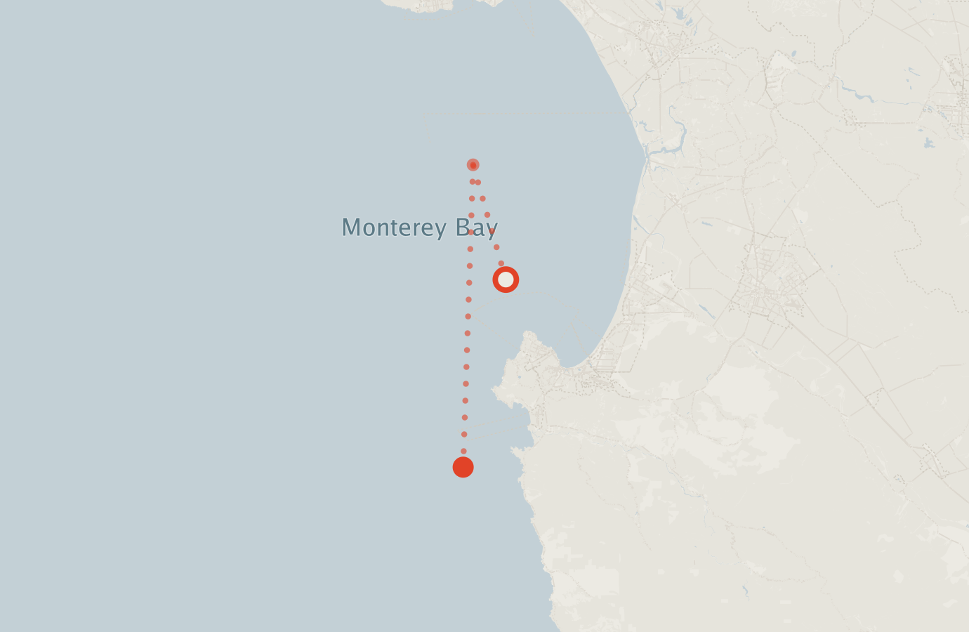 Activity map — real sighting points on an OpenStreetMap basemap