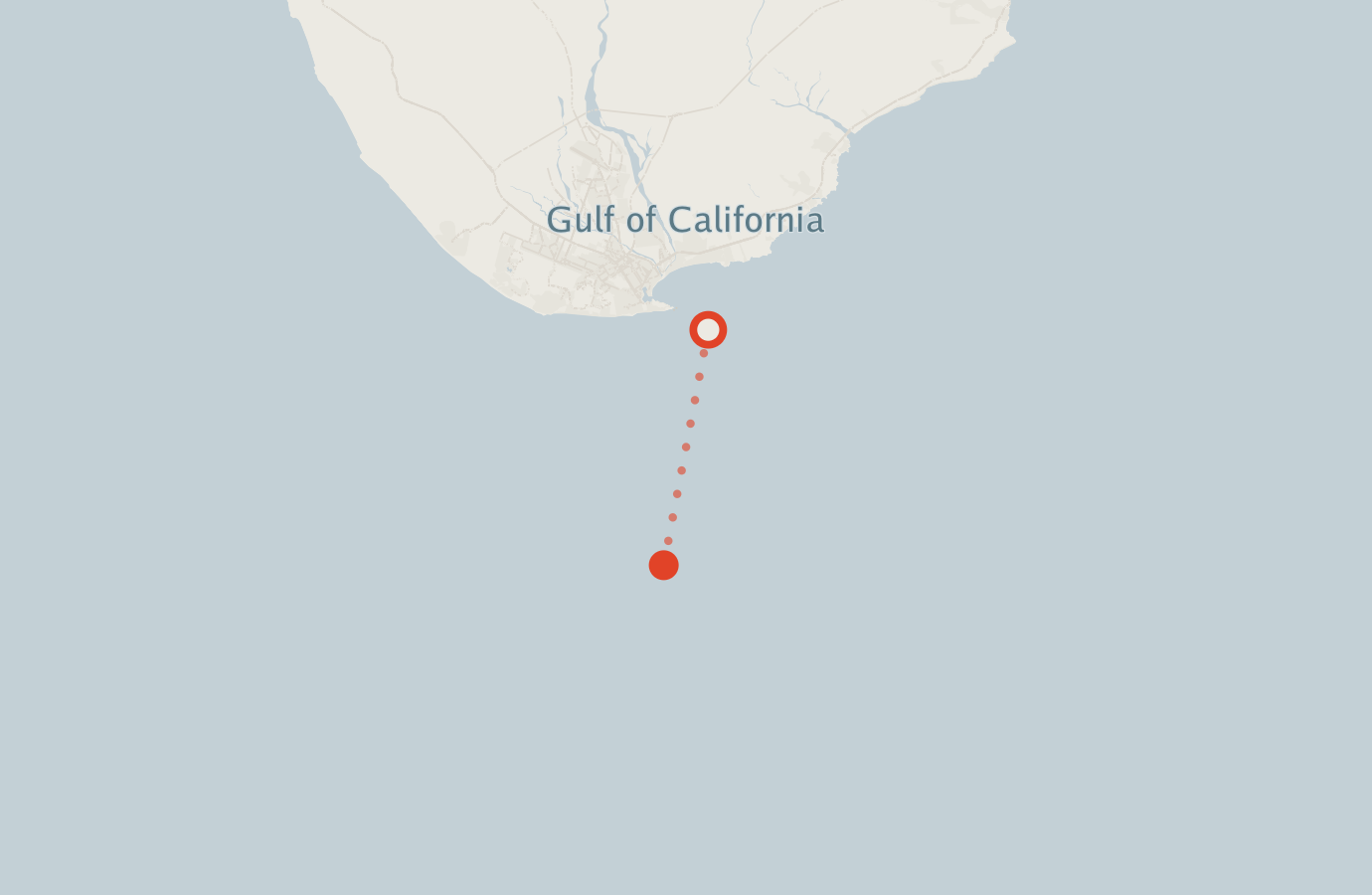 Activity map — real sighting points on an OpenStreetMap basemap