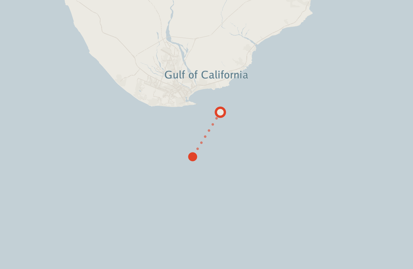 Activity map — real sighting points on an OpenStreetMap basemap