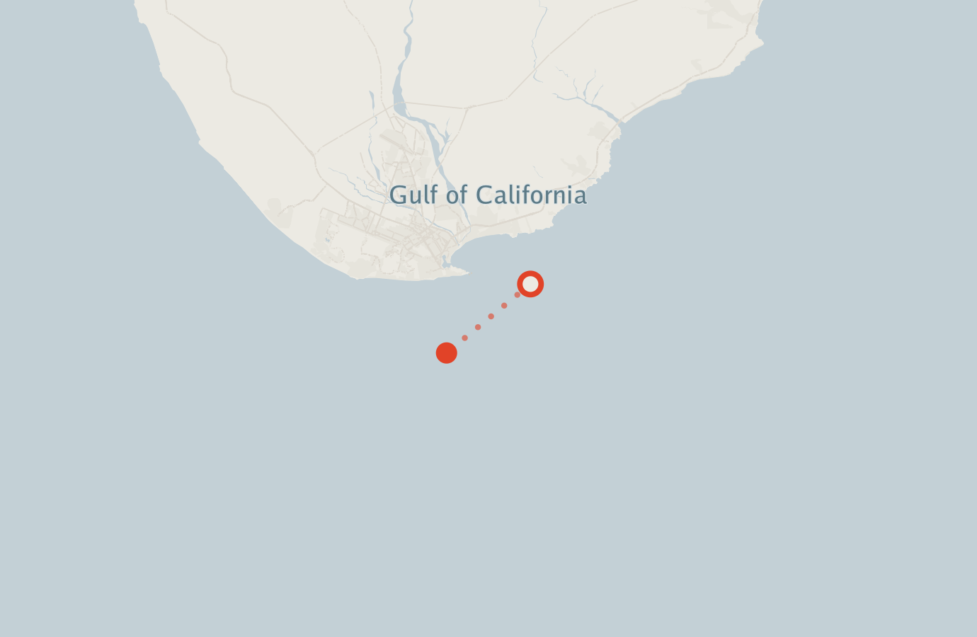 Activity map — real sighting points on an OpenStreetMap basemap
