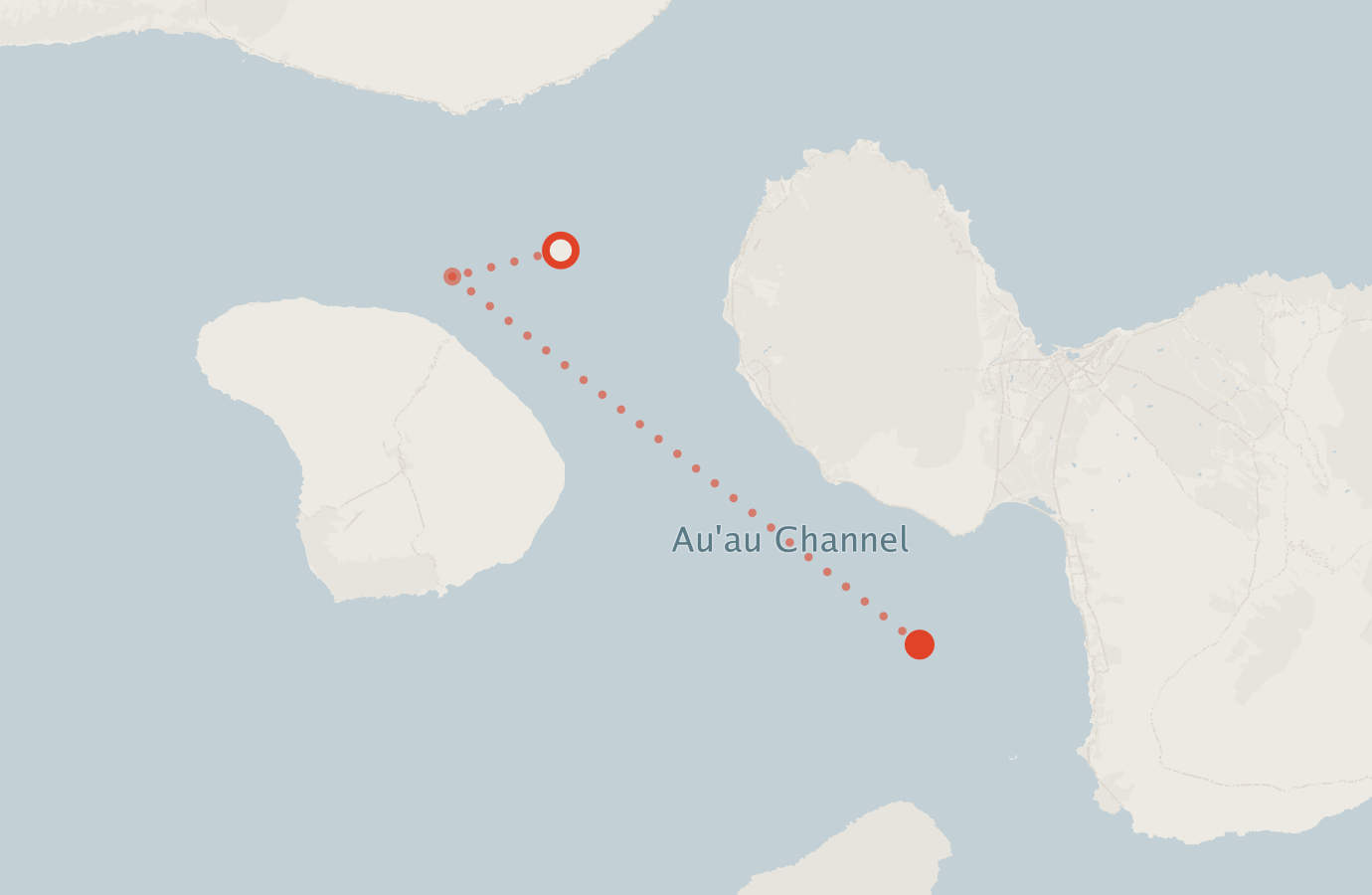 Activity map — real sighting points on an OpenStreetMap basemap