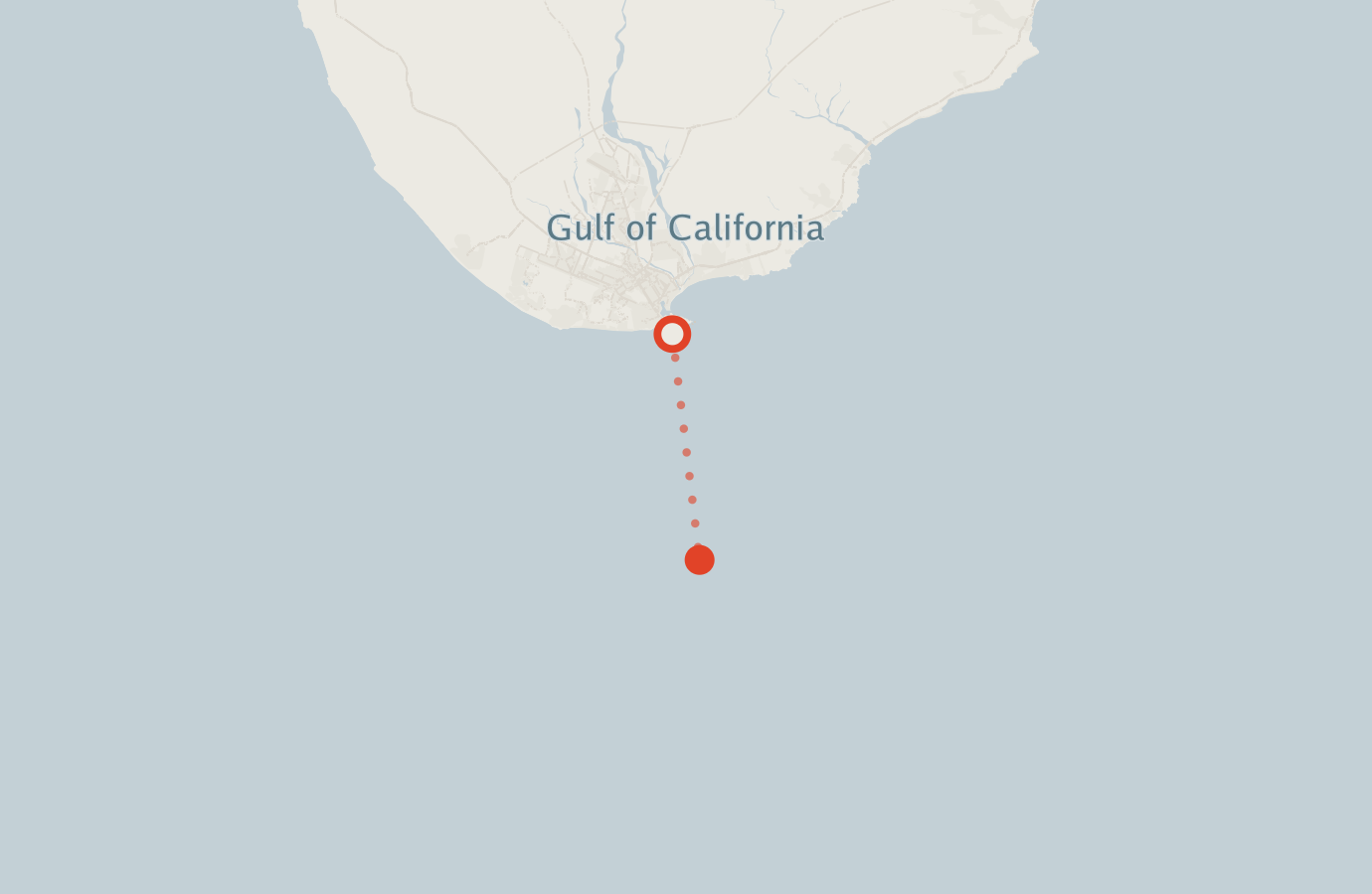 Activity map — real sighting points on an OpenStreetMap basemap