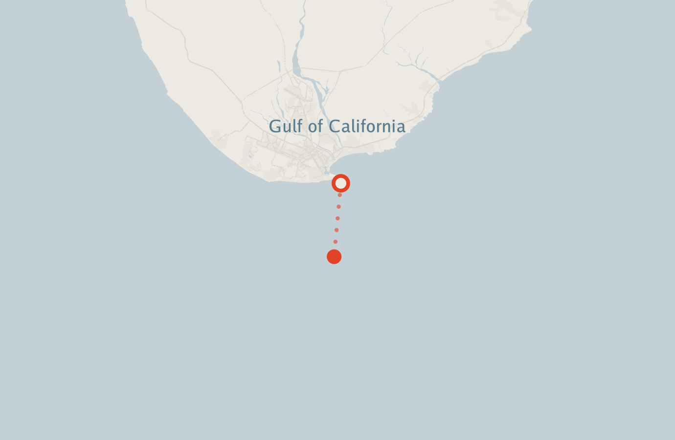 Activity map — real sighting points on an OpenStreetMap basemap