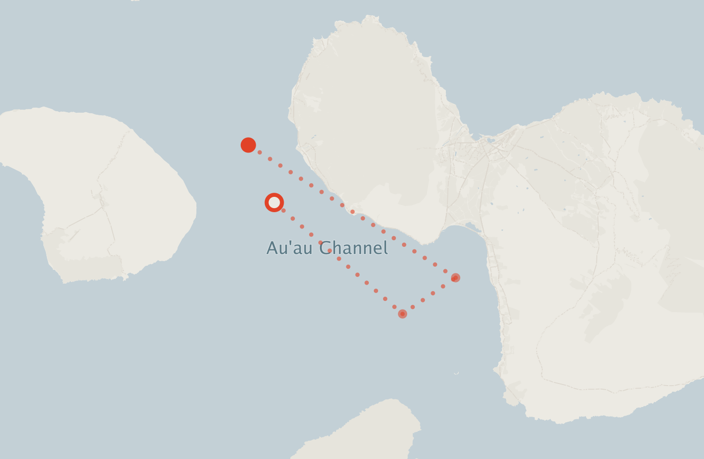 Activity map — real sighting points on an OpenStreetMap basemap