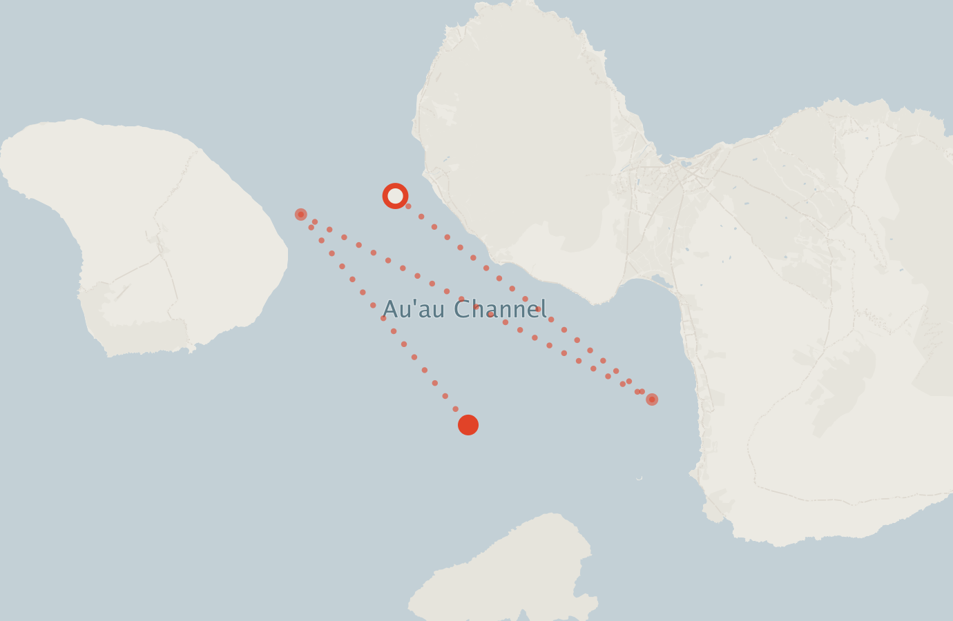 Activity map — real sighting points on an OpenStreetMap basemap